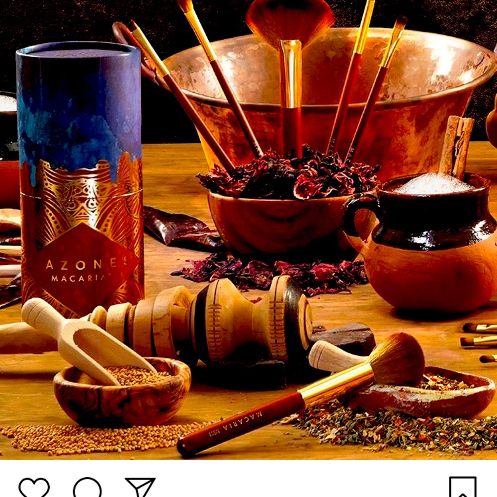 12 piece Mexican inspired brushes